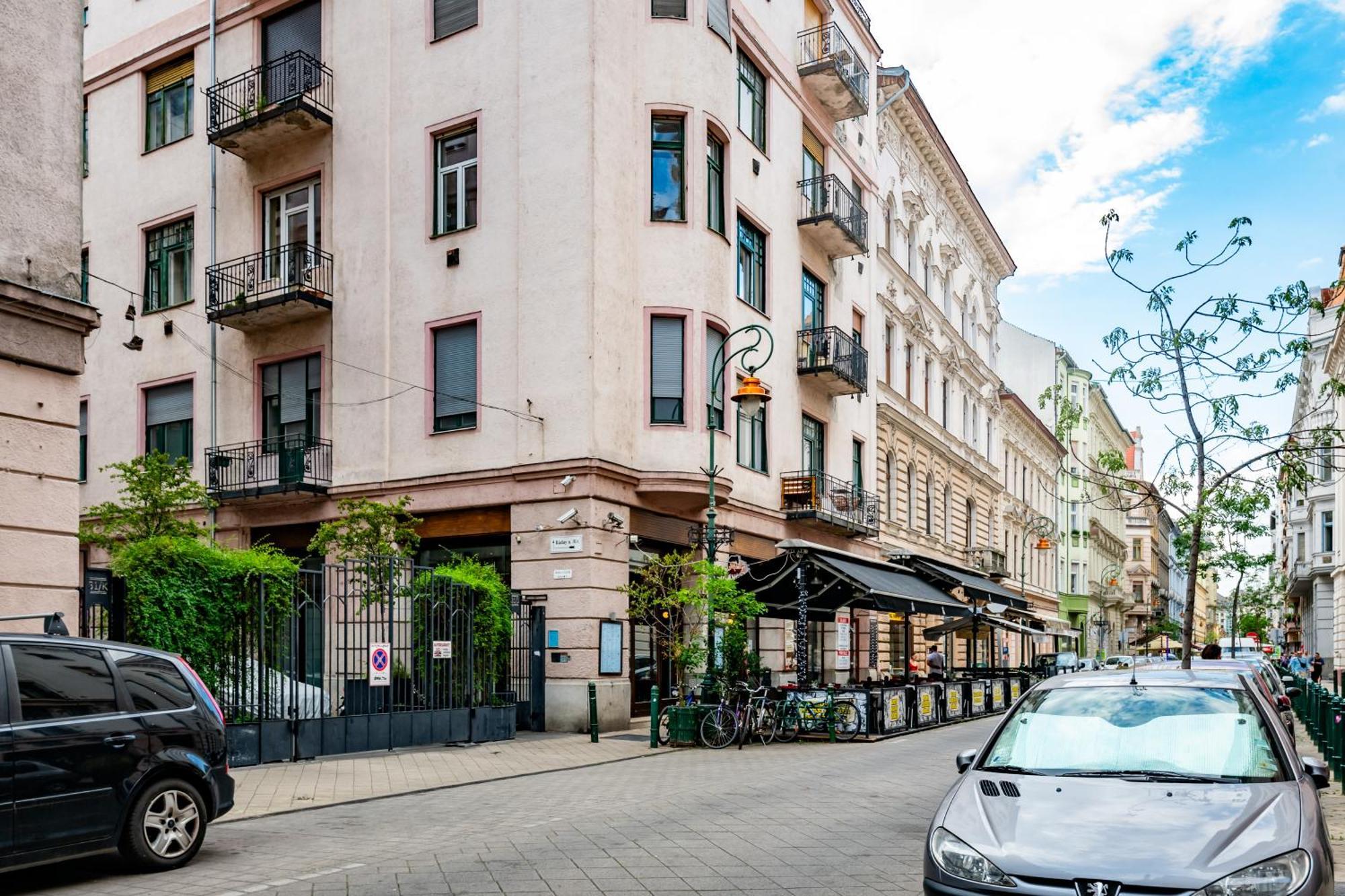 Jungle Aesthetics Downtown Apartman Aircon And Garage Parking Budapeste Exterior foto