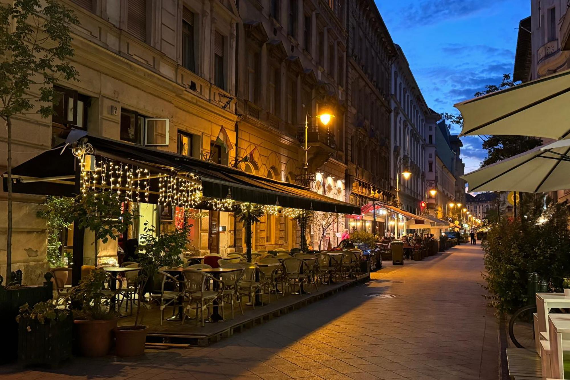 Jungle Aesthetics Downtown Apartman Aircon And Garage Parking Budapeste Exterior foto